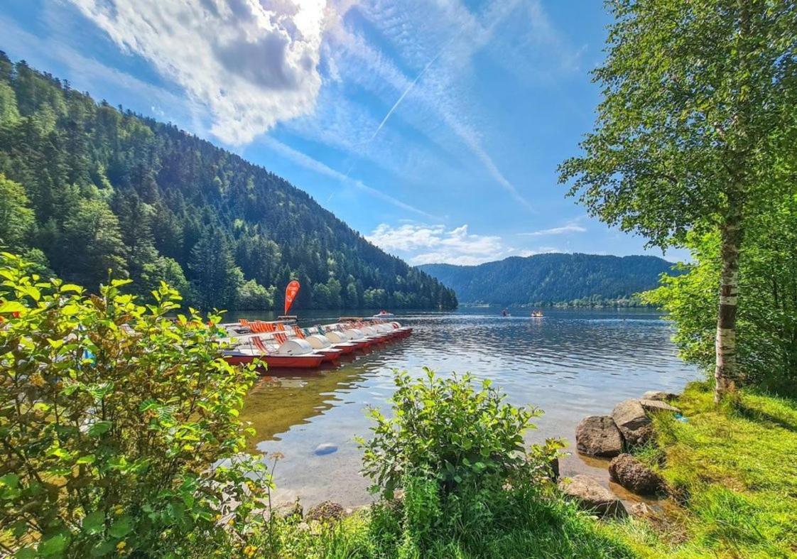 Nouveau Chalet M.Meta 12 Pers Sauna,Jacuzzi,Billard Xonrupt-Longemer Zewnętrze zdjęcie